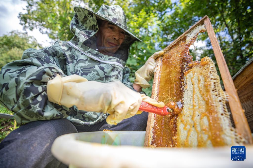 富狗棋牌官网
